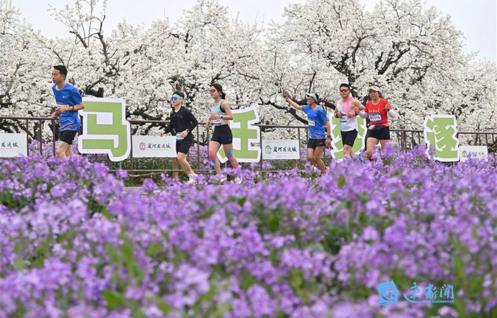世界杯直播下载-安全文明跑迁马丨安全文明启迁马 科学备赛护跑者|马拉松|组委会|全程马拉松|半程马拉松|宿迁市_新浪新闻